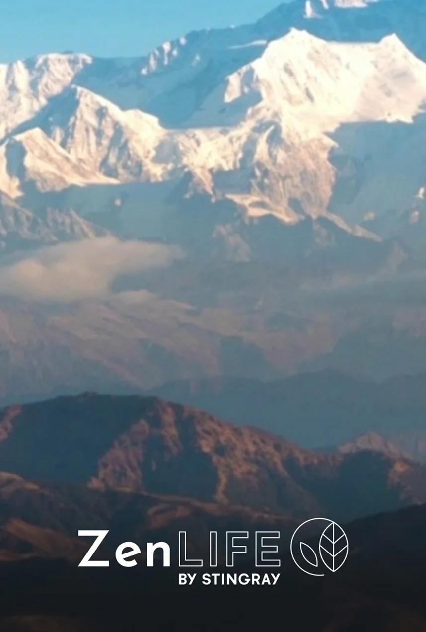 Mozart dans les montagnes