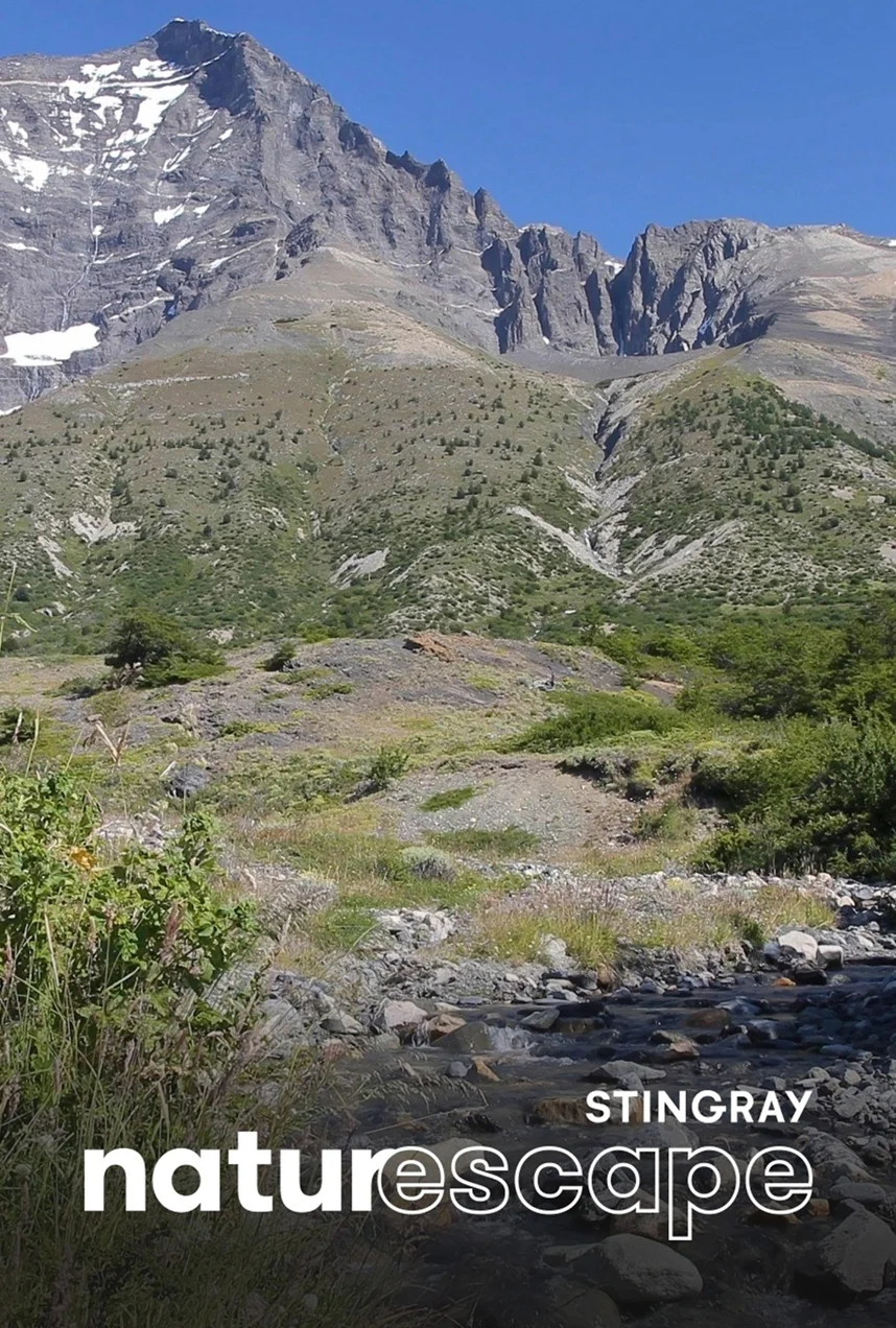 Ruisseau de montagne