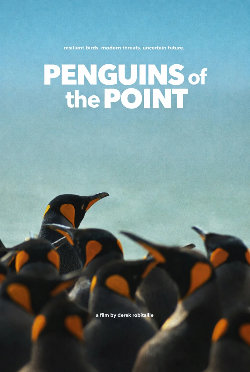 Penguins of the Point