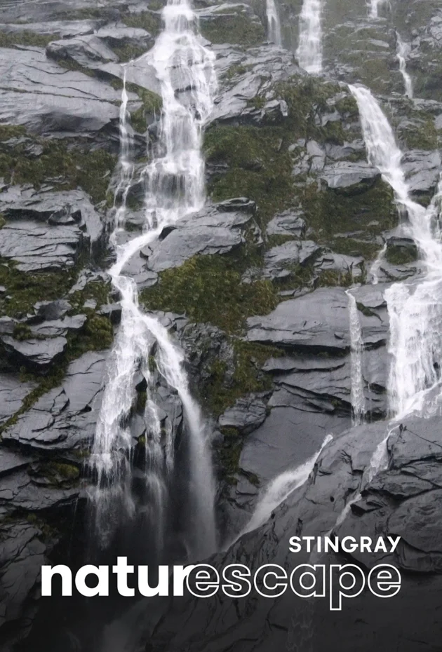 Restful Rain in New Zealand