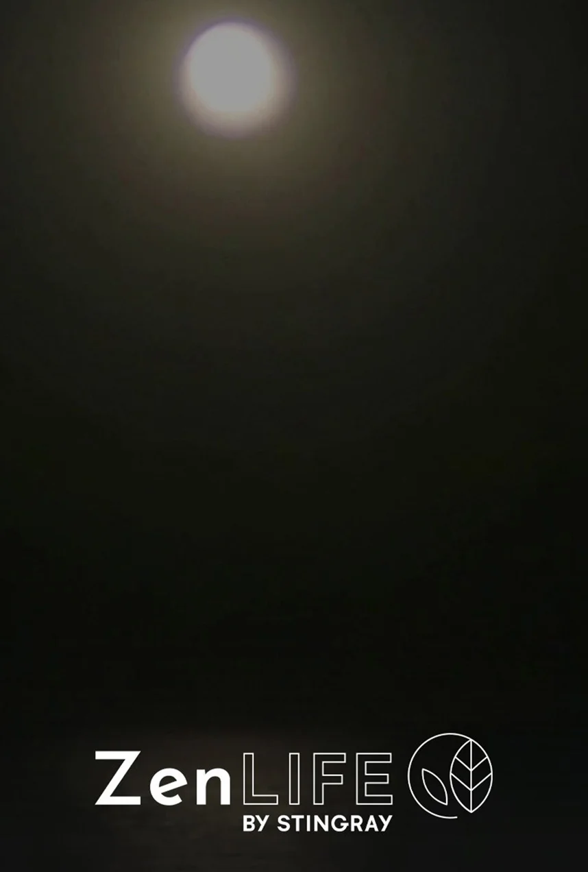 Sleepy Book: Twilight Moon