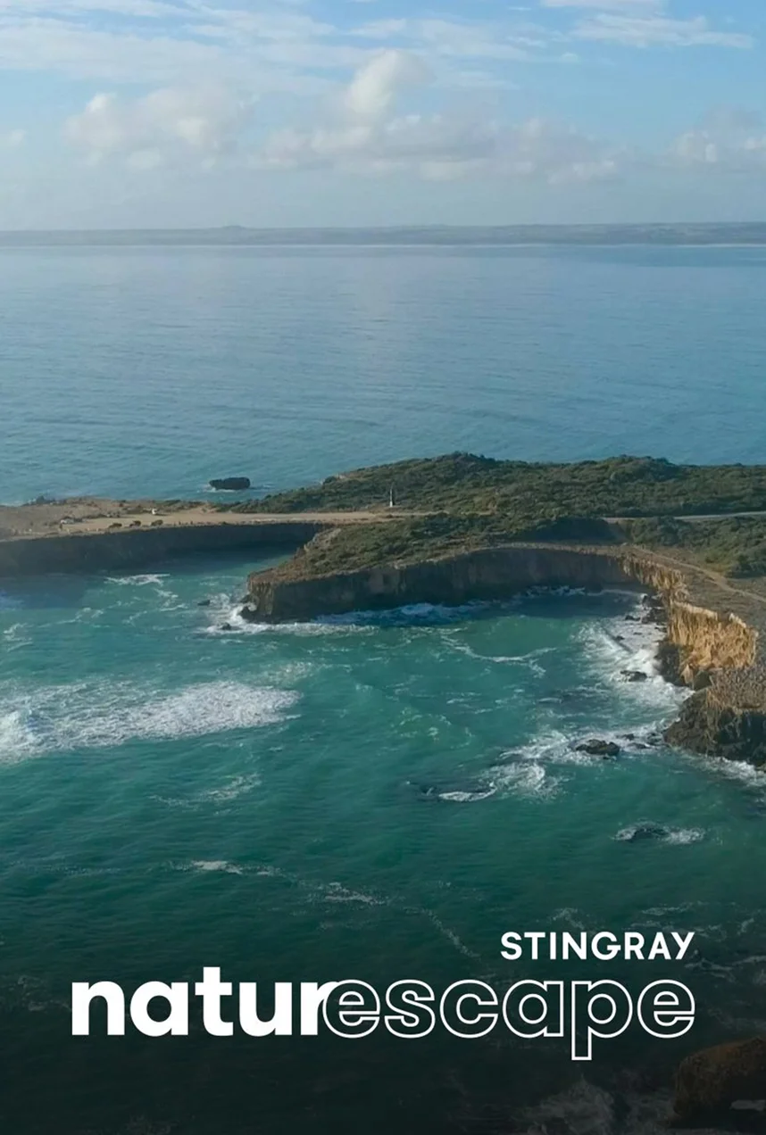 South Australia Seas