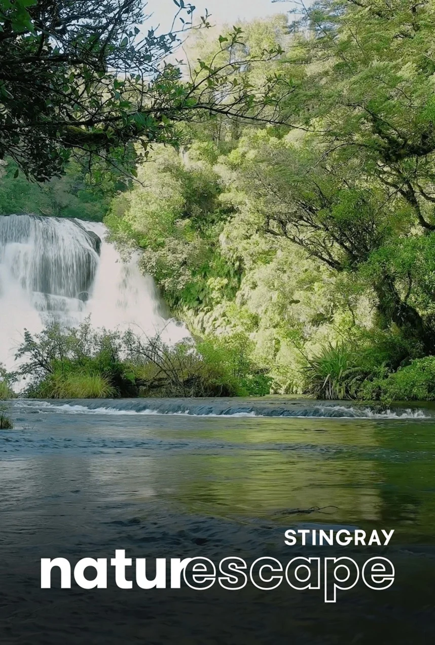 Te Urewera National Park: New Zealand (Music)