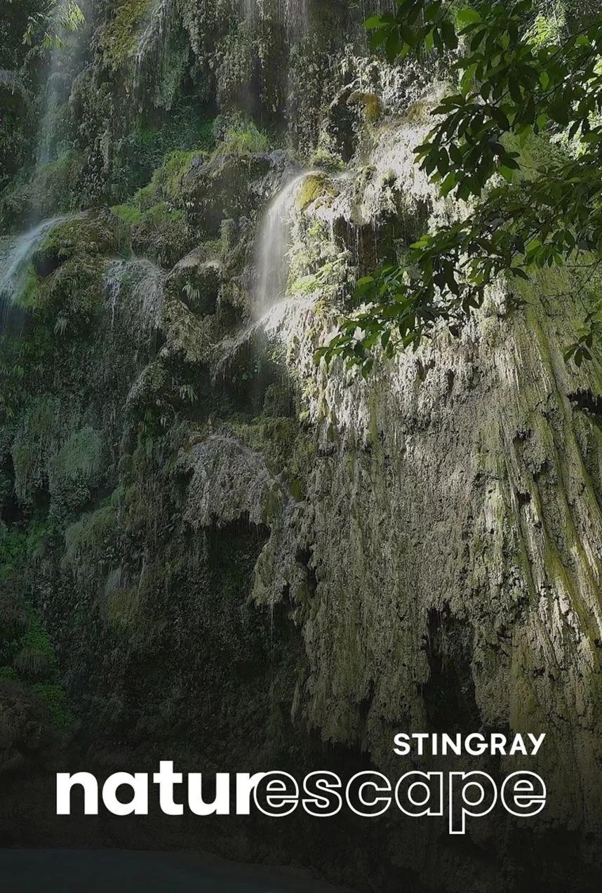 Cascade de Tumalog : les