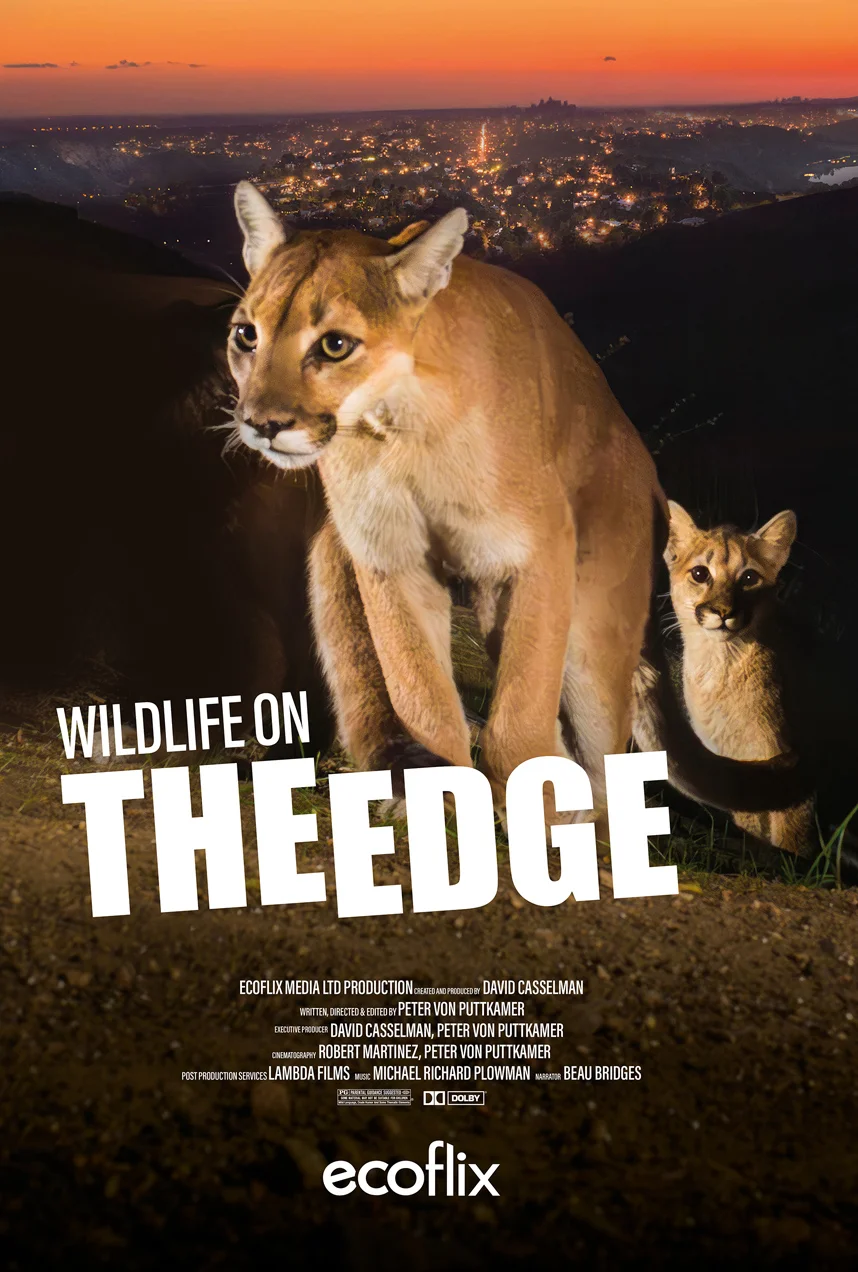 Wildlife On The Edge