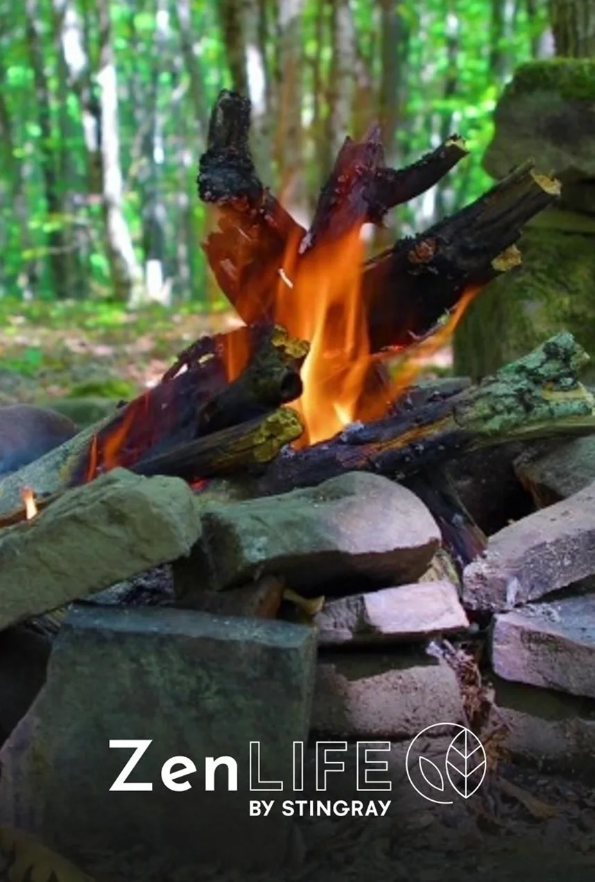 Guitare zen : autour du feu