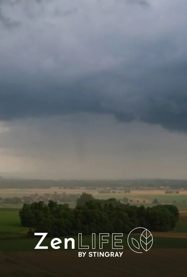 Zen Nature: Soothing Thunder & Rain
