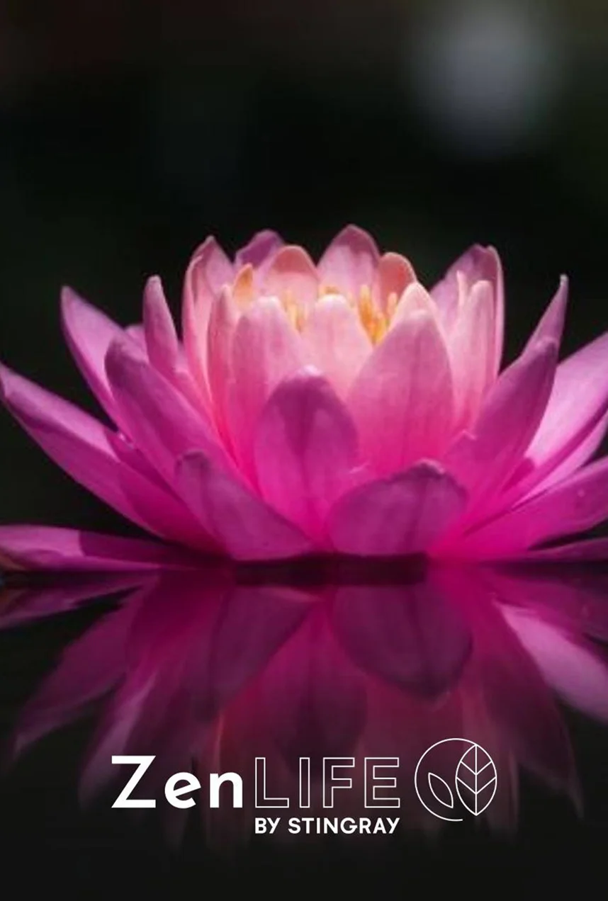 Spa zen : escapade