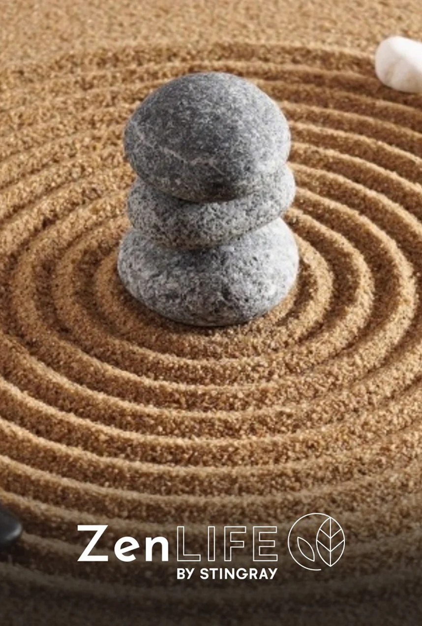 Esprit zen : tranquillité d’esprit