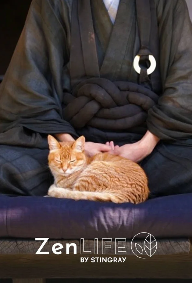 Esprit zen : Japon paisible