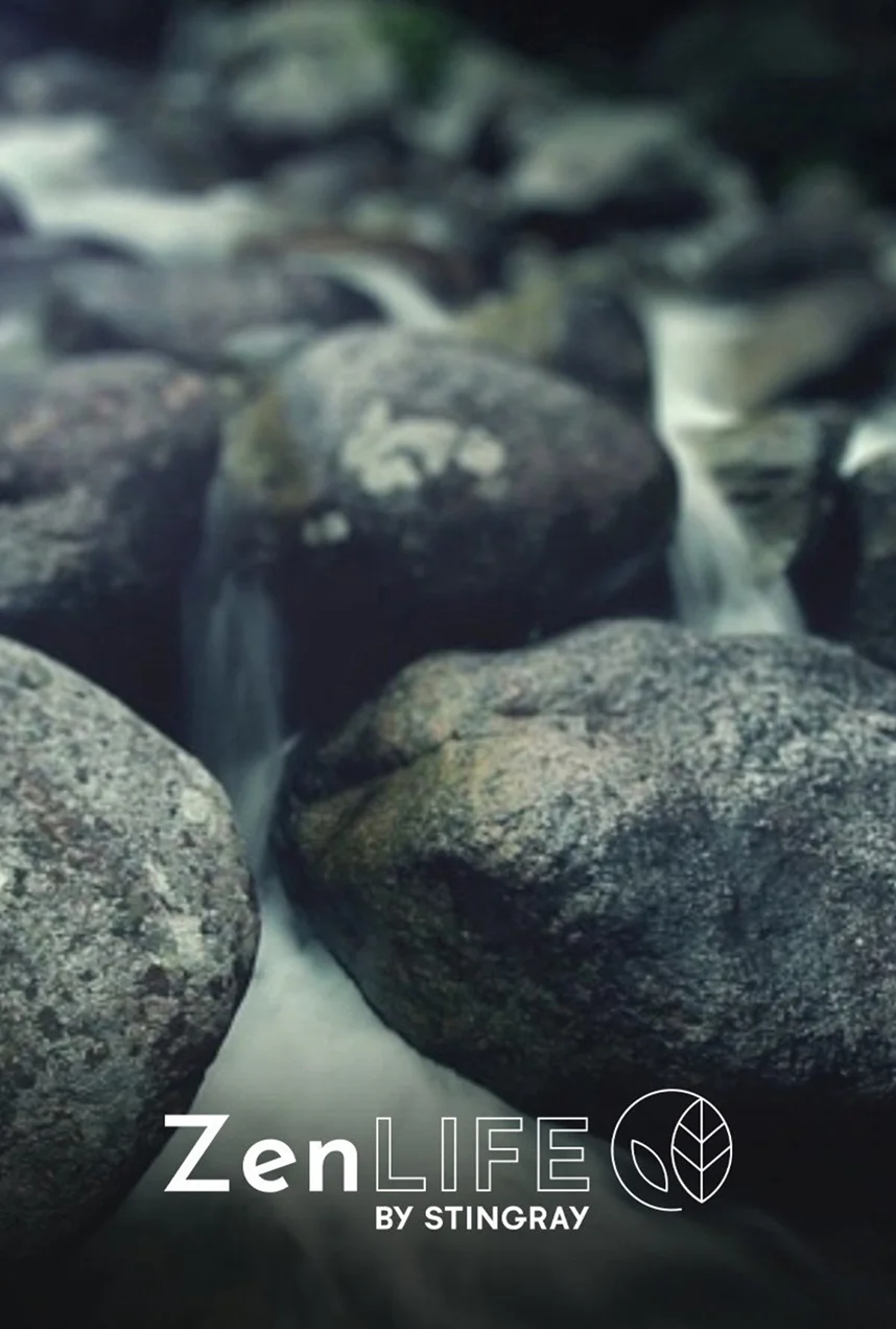 Série ZenLIFE Spa : eaux
