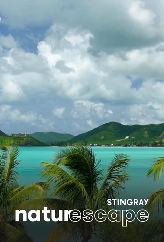 Une journée dans les Caraïbes