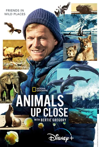 Au plus près des animaux avec Bertie Gregory