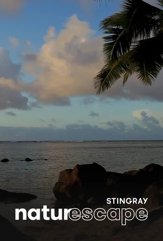 Île de Kauai, Hawaii (musique)
