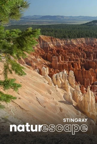 Bryce Canyon Relaxation