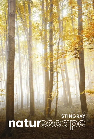 Enchanting Autumn