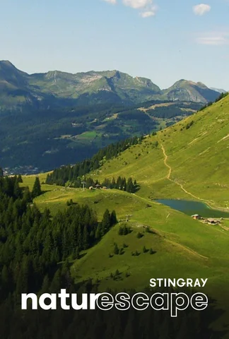 Survol des Alpes