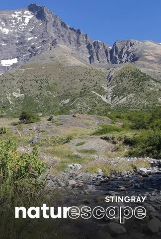 Ruisseau de montagne