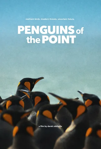 Penguins of the Point