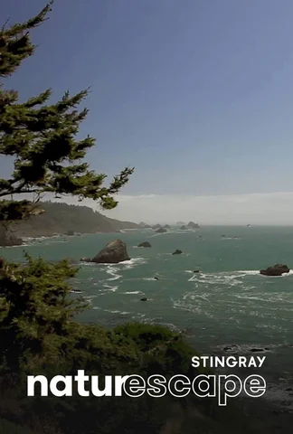 Côte de Redwood : Californie