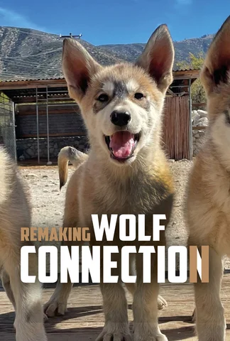 Remaking Wolf Connection Part