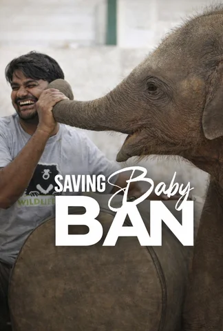 Saving Baby Bani