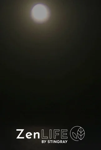 Sleepy Book : Twilight Moon