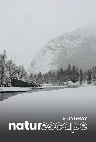 Rivière enneigée à Banff