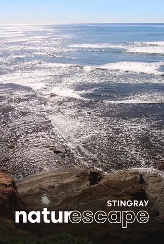 Côte californienne étincelante