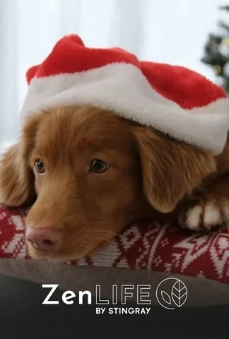 The Holiday Collection: Christmas Puppies & Kitties