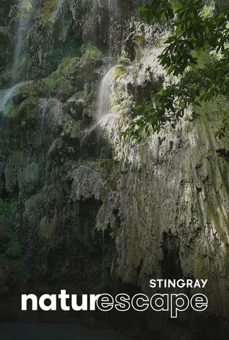 Cascade de Tumalog : les
