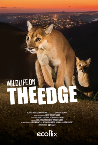 Wildlife On The Edge