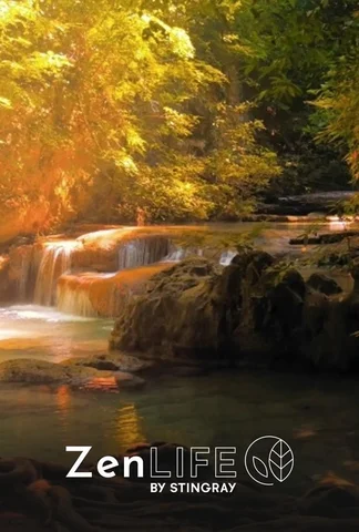 Piano zen : nature harmonieuse
