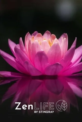 Spa zen : escapade