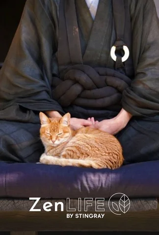 Esprit zen : Japon paisible