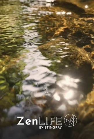 Thérapie zen aquatique