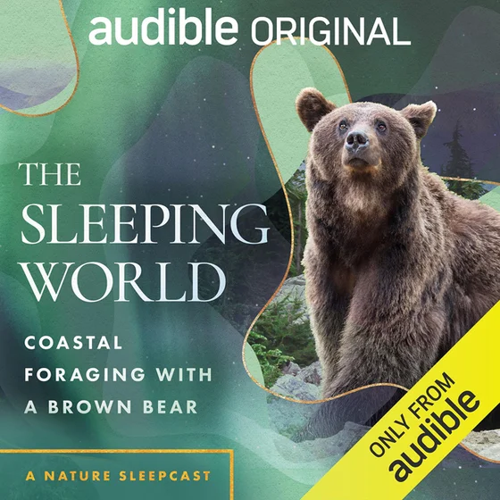 The Sleeping World: Coastal Foraging with a Brown Bear