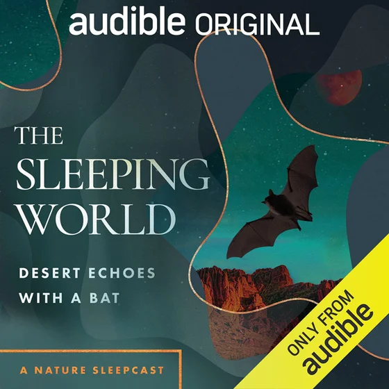 The Sleeping World: Desert Echoes with a Bat