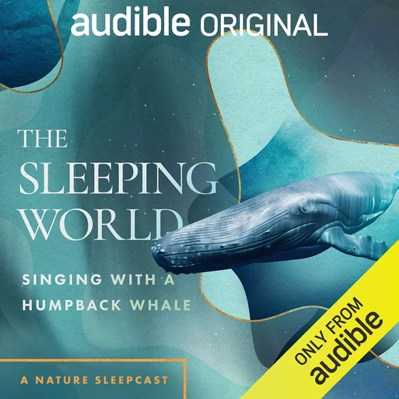The Sleeping World: Singing with a Humpback Whale
