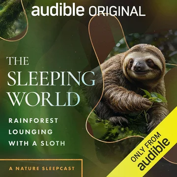 The Sleeping World: Rainforest Lounging with a Sloth