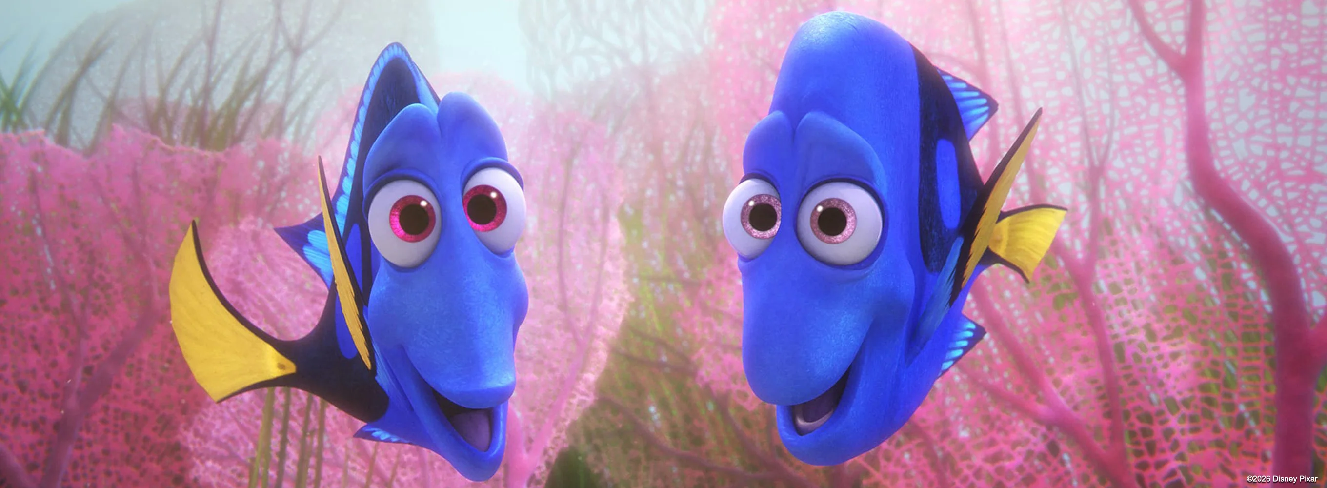 Finding Dory