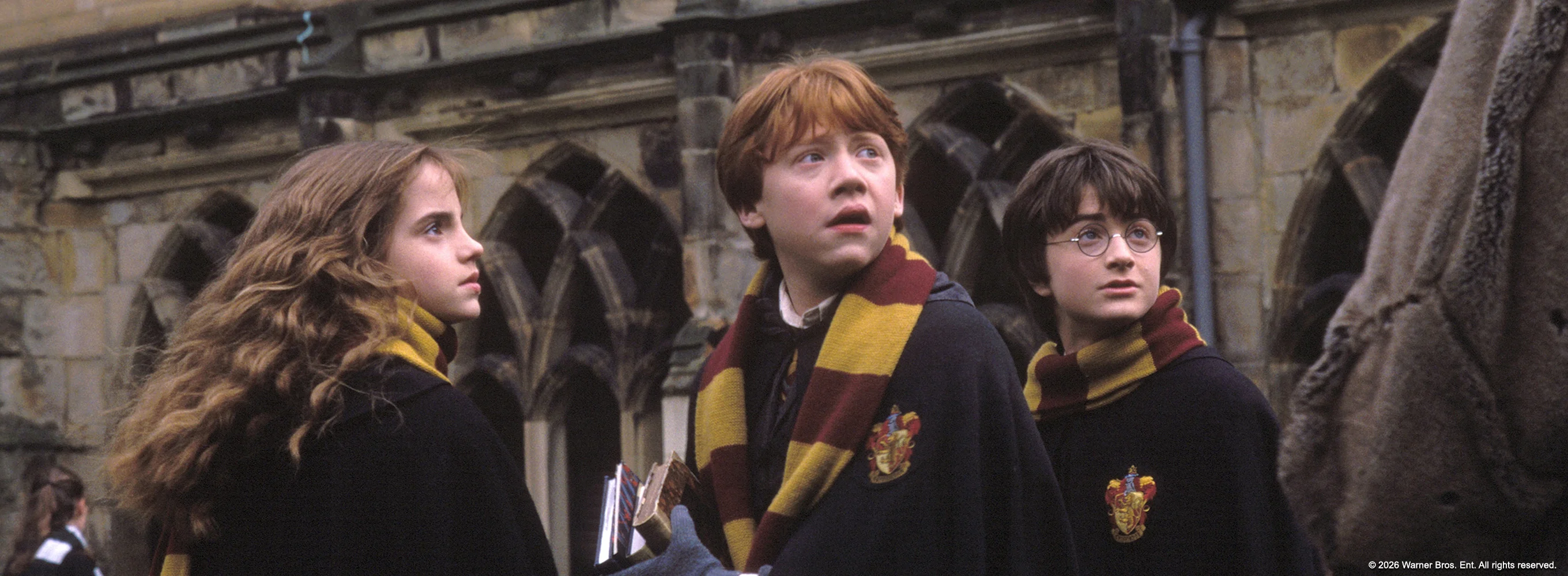 Harry Potter and the Chamber of Secrets