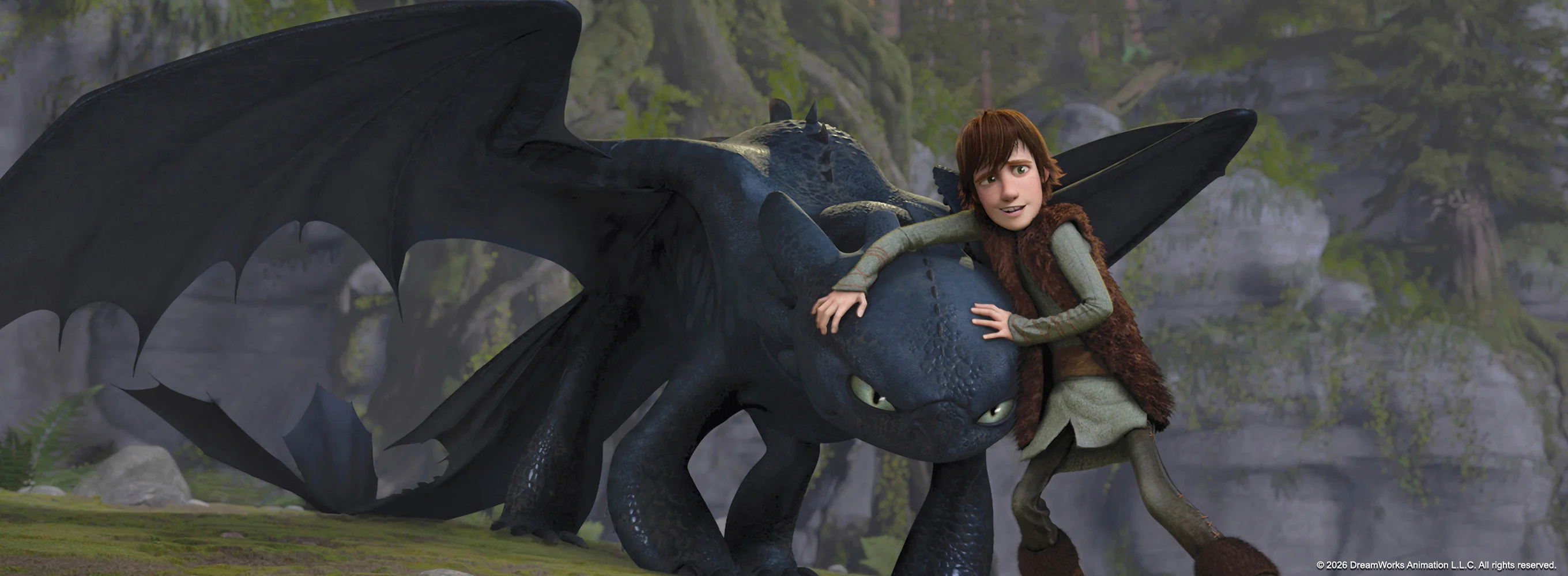 How to Train Your Dragon