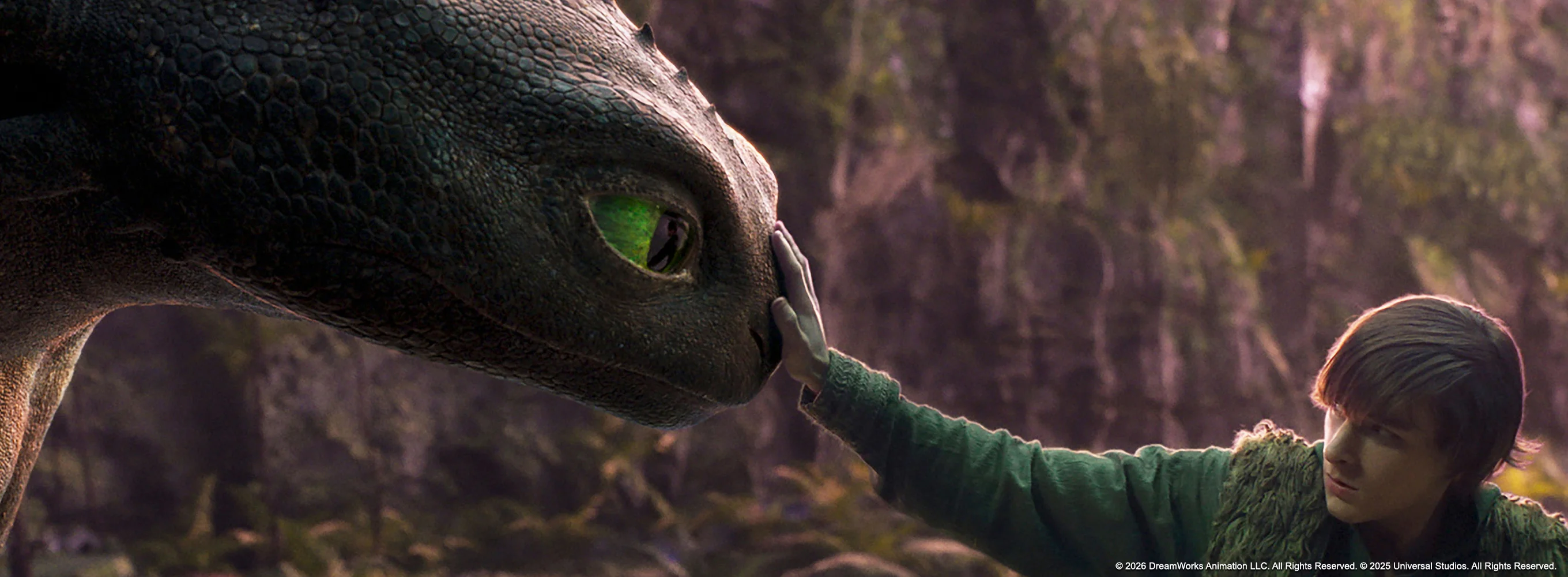 How to Train Your Dragon (2025)