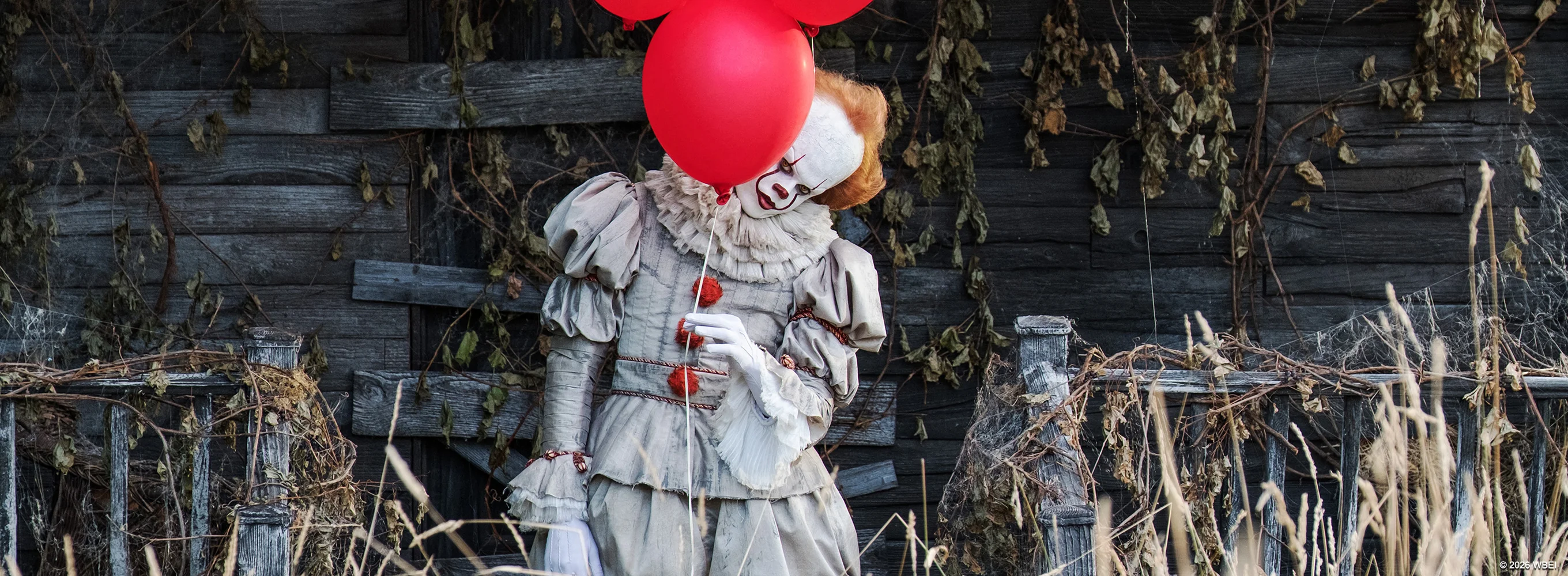 IT
