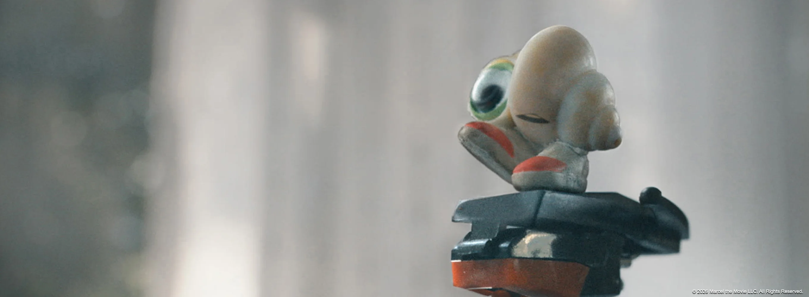 Marcel the Shell with Shoes On