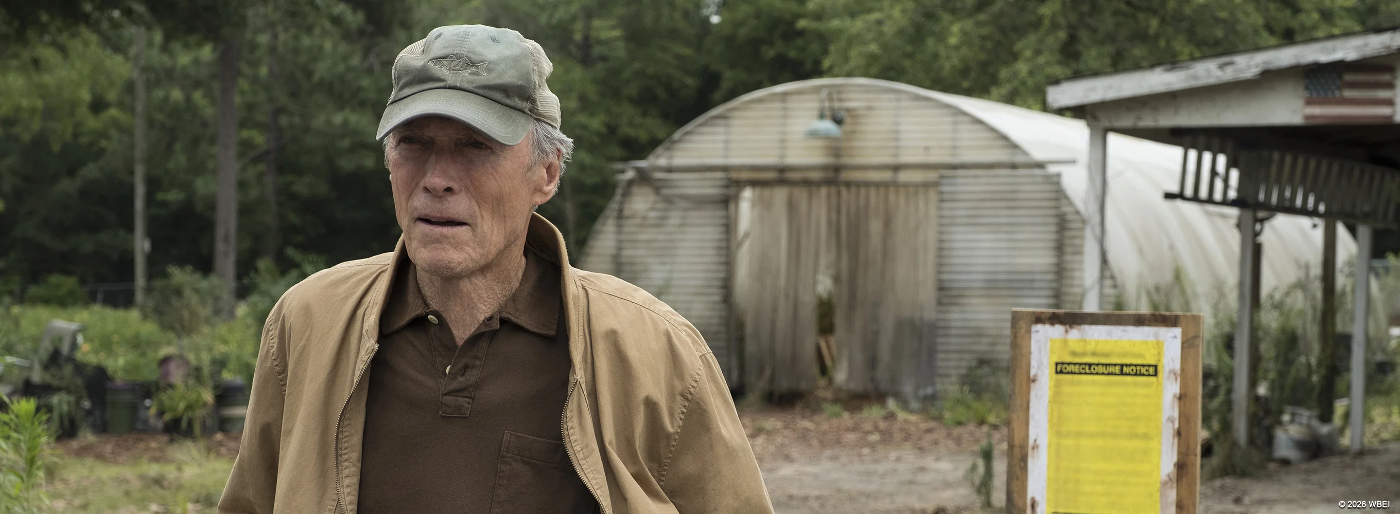 The Mule