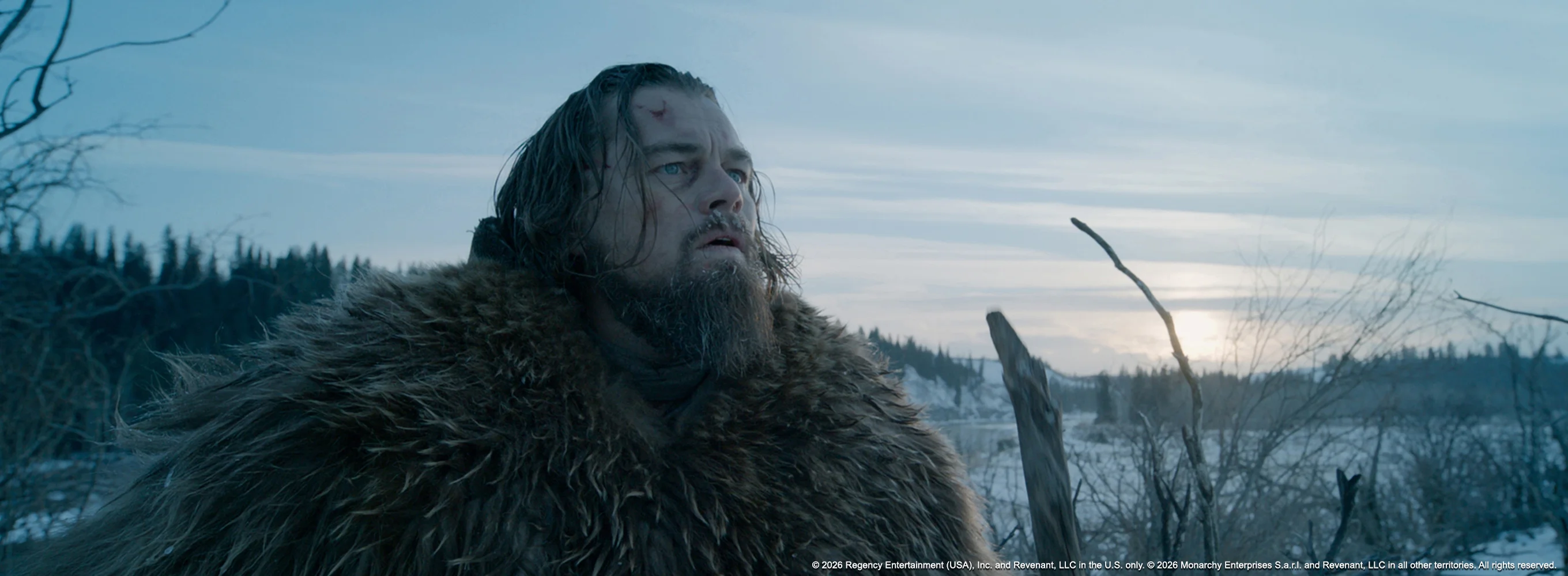 The Revenant