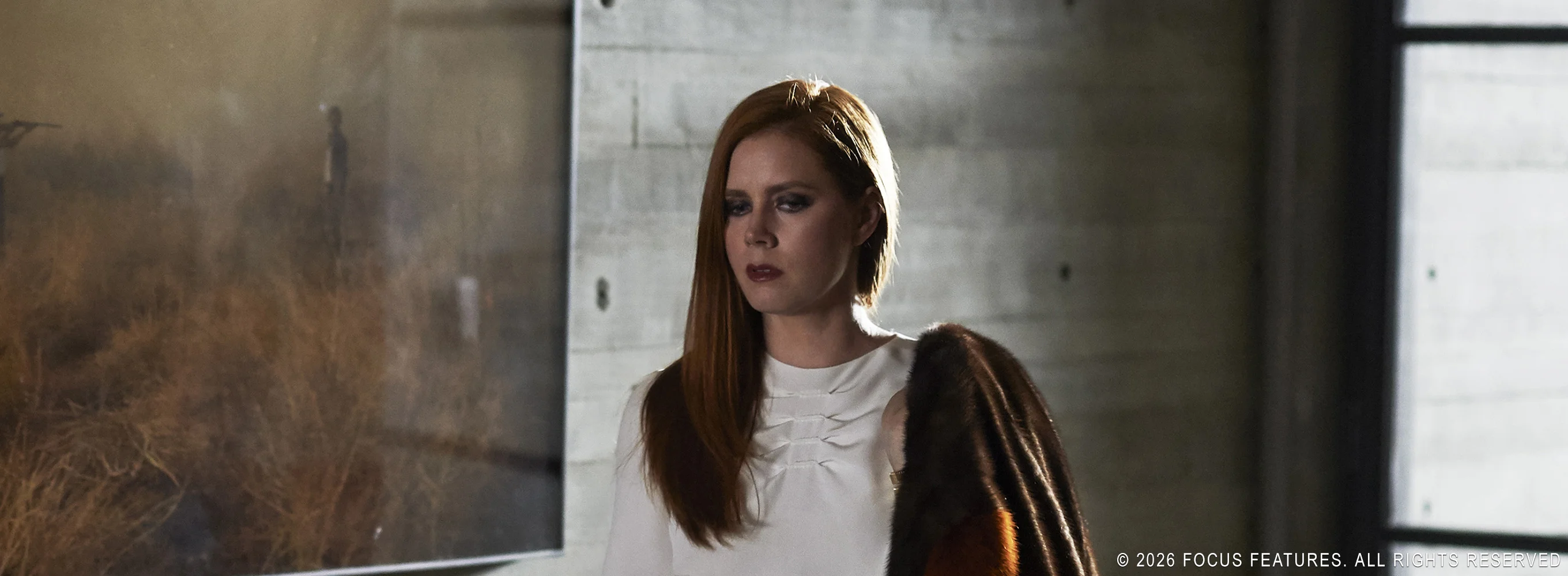 Nocturnal Animals