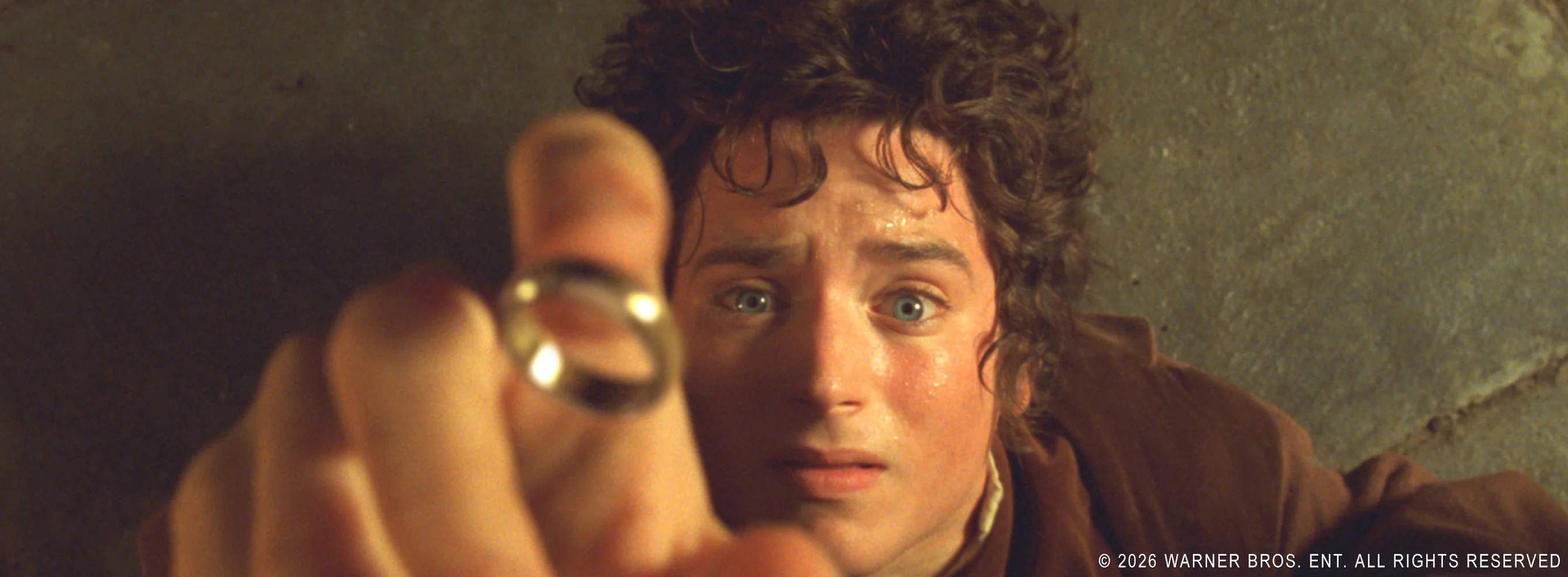 The Lord of the Rings: The Fellowship of the Ring